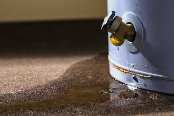 Best Basement water damage restoration  in Fort Wright, KY
