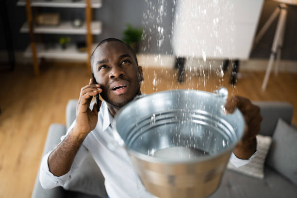 Best Local water damage restoration  in Fort Wright, KY
