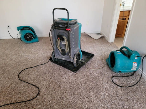 Best Flood damage cleanup  in Fort Wright, KY