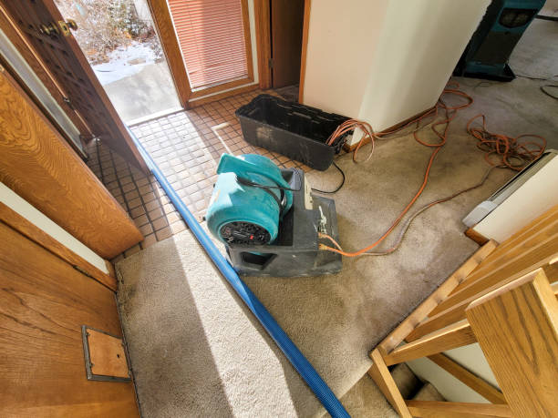 Trusted Fort Wright, KY Water damage restoration Experts