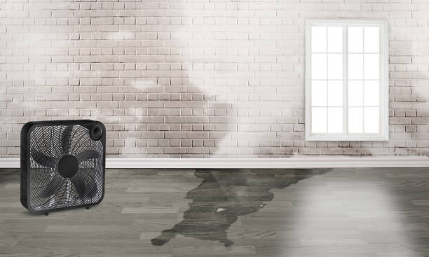 Water damage restoration mold remediation in Fort Wright, KY