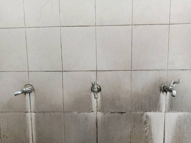 Best Emergency water extraction  in Fort Wright, KY