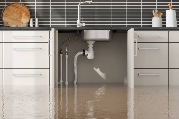 Best 24/7 water damage repair  in Fort Wright, KY