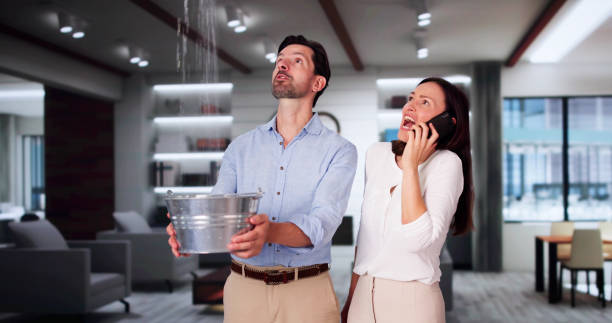 Best Water damage restoration specialists  in Fort Wright, KY