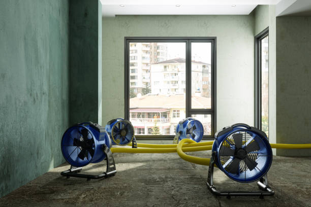 Best Residential water damage restoration  in Fort Wright, KY