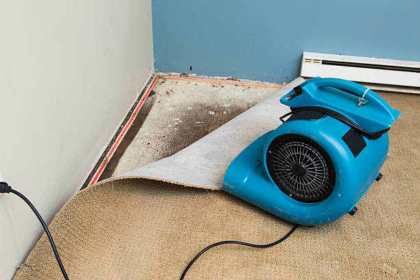 Best Water damage contractors near me  in Fort Wright, KY